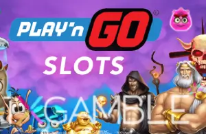 Play’n Go 슬롯게임 소개